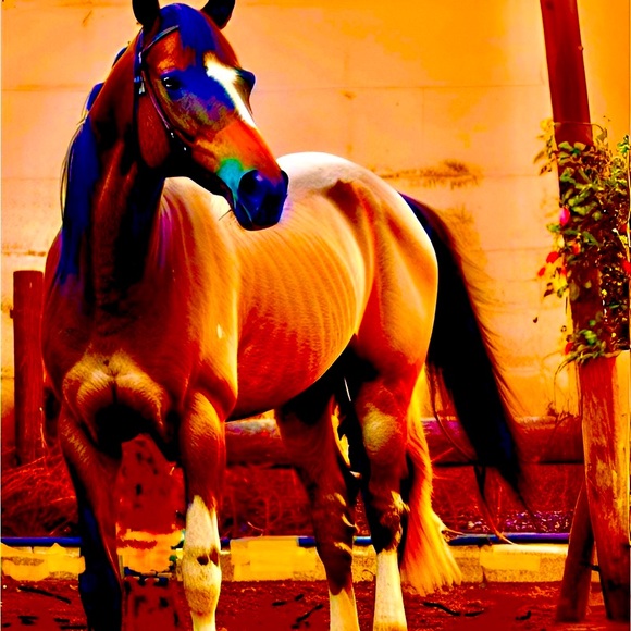 Meet your Posher, Christine - Picture 10 of 13